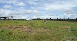 Fazenda a venda em Juara MT - 517 Hectares Escriturada