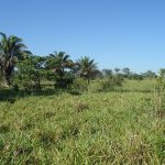 Fazenda a venda em Juara MT - 370 Hectares Escriturada