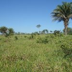 Fazenda a venda em Juara MT - 370 Hectares Escriturada