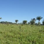 Fazenda a venda em Juara MT - 370 Hectares Escriturada