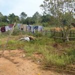 Casa de Madeira no Jardim Continental em Juara MT