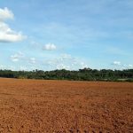 Fazenda 1470 Hectares em Juara MT