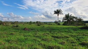 Chácara 7,26 hectares em Juara MT