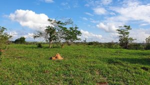 Chácara 7,26 hectares em Juara MT