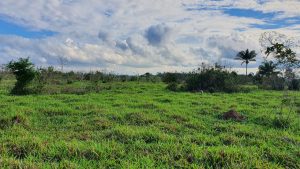 Chácara 7,26 hectares em Juara MT