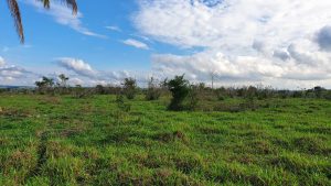 Chácara 7,26 hectares em Juara MT