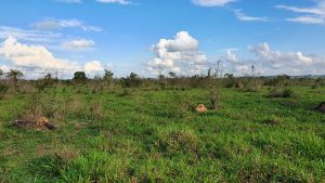 Chácara 7,26 hectares em Juara MT